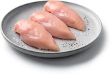 Hähnchen-Brustfilet im Angebot bei Netto Marken-Discount in Bremerhaven Hähnchen-Brustfilet Angebote von GUT PONHOLZ bei Netto Marken-Discount Bremerhaven für 7,99 €