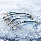 Sardine de Bretagne en promo chez Intermarché Super Saint-Nazaire à 3,39 €