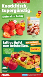 Erdbeeren Angebot im aktuellen Penny Prospekt auf Seite 2