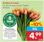 Großbund Tulpen Angebote bei Netto Marken-Discount Buchholz für 4,99 €