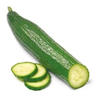 Netto mit dem Scottie - Gurke Angebot im Prospekt Gurke bei Netto mit dem Scottie im Prospekt "" für 0,59 €