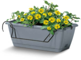 Balkonkasten 40 cm Angebote von Living & Garden bei Netto Marken-Discount Kaufbeuren für 5,99 €