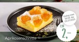 Aktuelle Gutscheine Angebote bei XXXLutz Möbelhäuser in Essen Aktuelles Aprikosenschnitte Angebot bei XXXLutz Möbelhäuser in Essen ab 2,00 €