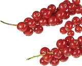 Johannisbeeren rot von  im aktuellen METRO Prospekt für 2,88 €
