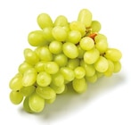 Trauben kernlos bei Netto mit dem Scottie im Rostock Prospekt für 1,99 €