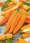 Paprika und Peperoni im Angebot bei toom Baumarkt in Delmenhorst Paprika und Peperoni Angebote bei toom Baumarkt Delmenhorst für 3,29 €