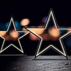 Stern für 19,99 € bei Zurbrüggen im Angebot Stern im aktuellen Zurbrüggen Prospekt