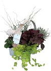 Bunter Herbst im Angebot bei REWE in Offenbach Bunter Herbst Angebote bei REWE Offenbach für 7,99 €