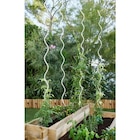 Tuteur spirale pour tomate - GARDELYS en promo chez Carrefour Tuteur spirale pour tomate - GARDELYS dans le catalogue Carrefour