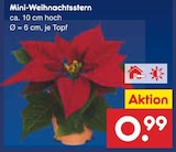 Mini-Weihnachtsstern für 0,99 € bei Netto Marken-Discount im Angebot Mini-Weihnachtsstern im aktuellen Netto Marken-Discount Prospekt