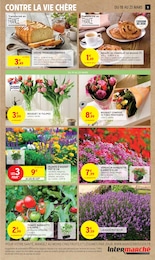 Offre Tulipes dans le catalogue Intermarché du moment à la page 11