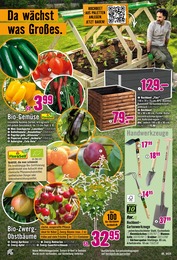Gemüsepflanzen Angebot im aktuellen Hornbach Prospekt auf Seite 4