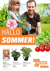Aktueller OBI Prospekt mit Tomatenpflanze, "Alles Machbar In deinem Garten", Seite 1