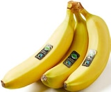 Bananen, lose im Angebot bei Lidl in Bremen Bananen, lose Angebote von Fairtrade bei Lidl Bremen für 1,69 €