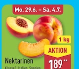 Nektarinen im aktuellen Prospekt bei ALDI Nord in Möser