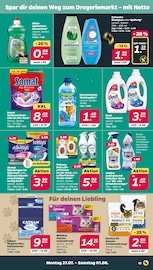 Tierbedarf im Netto mit dem Scottie Prospekt in Freiberg Aktueller Netto mit dem Scottie Prospekt mit Tierbedarf, "Günstig. Besser. Für Dich.", Seite 13