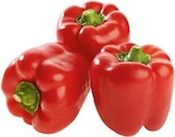 Spanien Paprika "rot" bei EDEKA im Wietmarschen Prospekt für 1,99 €