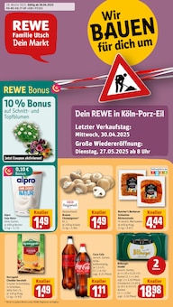 Aktueller REWE Prospekt für Köln mit  Seiten