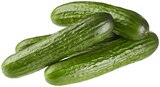 Bio Gurkenzwerge Angebote von REWE Bio bei REWE Kerpen für 1,49 €