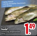 Frische Forelle Angebote bei EDEKA Augsburg für 1,49 €