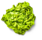 Ital. Kopfsalat bei Kaufland im Konstanz Prospekt für 0,99 €