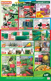 Promos Barbecue dans le catalogue "Votre Discounter Régional" de Norma Barbecue en promo dans le catalogue Norma à la page 1