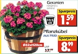 Geranien bei Wreesmann im Kamenz Prospekt für 1,59 €
