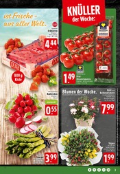 Aktueller EDEKA Prospekt mit Balkonpflanzen, "Aktuelle Angebote", Seite 3