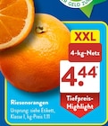 Riesennorangen bei ALDI SÜD im Hähnen Prospekt für 4,44 €