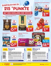 Aktueller Netto Marken-Discount Prospekt mit Sheba, "Aktuelle Angebote", Seite 2