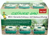 Mini-Gewächshaus-Set Angebote von Grüner Jan bei Thomas Philipps Gießen für 5,99 €