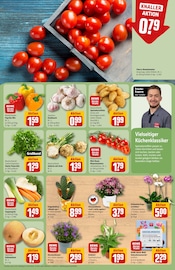 Gemüse im REWE Prospekt in Wiesbaden Aktueller REWE Prospekt mit Gemüse, "Dein Markt", Seite 5