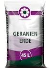 Geranienerde Angebote bei Wreesmann Stendal für 3,99 €