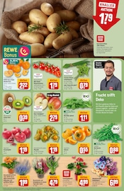 Ähnliche Tomatenpflanze Angebote im Prospekt "Dein Markt" von REWE in Herne Ähnliche Angebote wie Tomatenpflanze im Prospekt "Dein Markt" auf Seite 11 von REWE in Herne