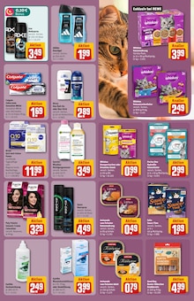 Katzenfutter im aktuellen REWE Prospekt (Neuss) Katzenfutter im REWE Prospekt "Dein Markt" mit 30 Seiten (Neuss)