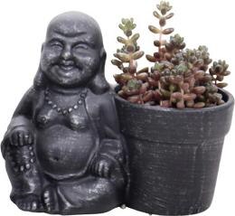 Succulentes déco Buddha en pot céramique