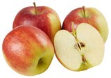 Aktuelles Rote Tafeläpfel Angebot bei REWE in Kiel ab 2,79 €