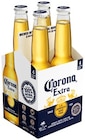 Corona Extra Mexican Beer im Angebot bei Penny in Bernau Corona Extra Mexican Beer Angebote von Corona bei Penny Bernau für 3,99 €