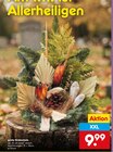 große Grabschale Angebote bei Netto Marken-Discount Kempten für 9,99 €