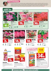 Géranium Angebote im Prospekt "MAI FLEURI" von Gamm vert Géranium Angebote im Prospekt "MAI FLEURI" von Gamm vert auf Seite 3