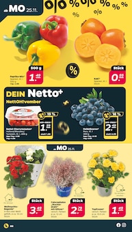 Tomaten im Netto mit dem Scottie Prospekt "Günstig. Besser. Für Dich." mit 37 Seiten (Cottbus)