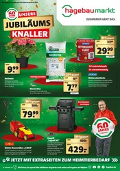 Aktueller Hagebaumarkt Baumarkt Prospekt in Künzing und Umgebung, "UNSERE JUBILÄUMS KNALLER" mit 24 Seiten, 27.04.2024 - 04.05.2024