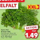 Kaufland Salz - Petersilie glatt oder Minze oder Dill oder Schnittlauch oder Koriander Angebot im Prospekt Petersilie glatt oder Minze oder Dill oder Schnittlauch oder Koriander bei Kaufland im Salz Prospekt für 1,49 €