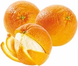 Argentinien Orangen bei EDEKA im Havixbeck Prospekt für 2,79 €