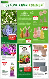 Aktueller ZG Raiffeisen Prospekt mit Blumentopf, "GARTENFREUDE….ES GEHT ENDLICH LOS!", Seite 2