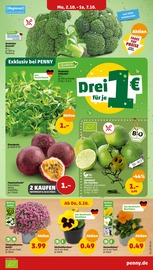Gemüse im Penny-Markt Prospekt in Rheine Aktueller Penny-Markt Prospekt mit Gemüse, "Wer günstig will, muss Penny.", Seite 3