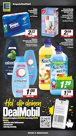 Aktueller EDEKA Prospekt mit Wild, "Aktuelle Angebote", Seite 16