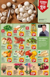 Aktueller REWE Prospekt mit Kartoffeln, "Dein Markt", Seite 11