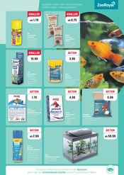 Aquarium im ZooRoyal Prospekt in Düsseldorf Aktueller ZooRoyal Prospekt mit Aquarium, "20% AUF DEIN LIEBLINGS-TIERZUBEHÖR", Seite 7