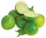Bio Limette Angebote von REWE Bio bei REWE Halle für 0,39 €